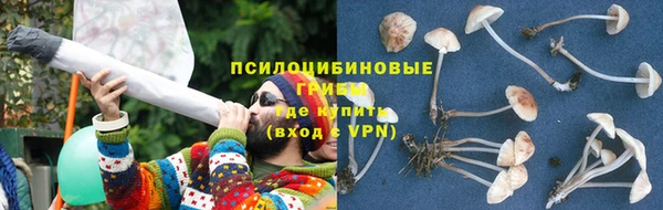 хмурый Абинск